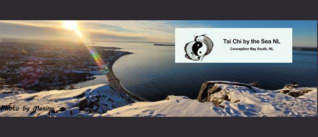 Tai Chi By The Sea at Manuels River