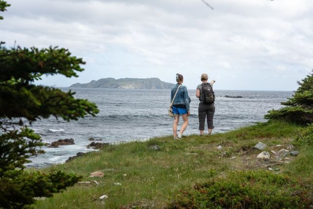 Coastal Foraging Hike