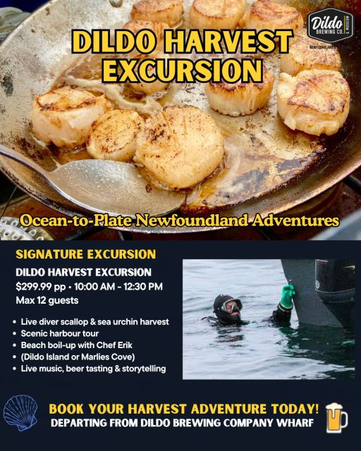 Dildo Harvest Excursion promotional image