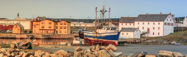 “Up the Harbor” Walking Tour of Bonavista