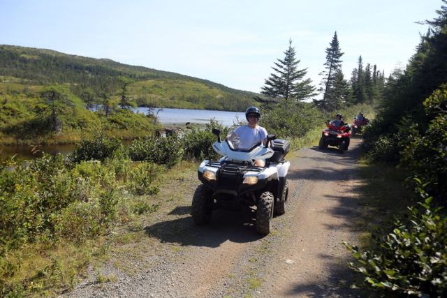 ATV Wildlife Tours