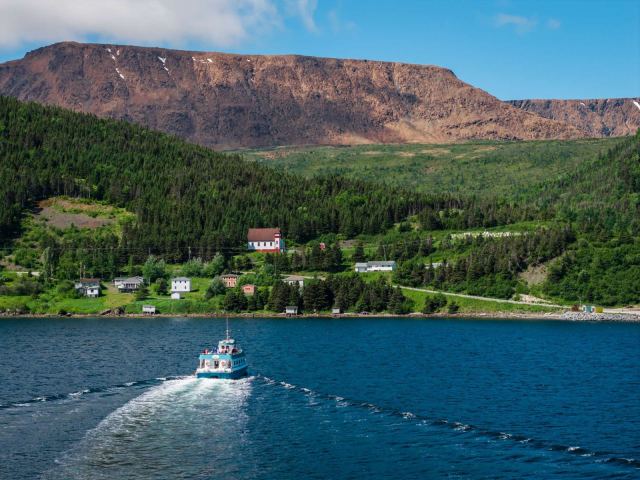 Tablelands & Bonne Bay Catamaran Tour