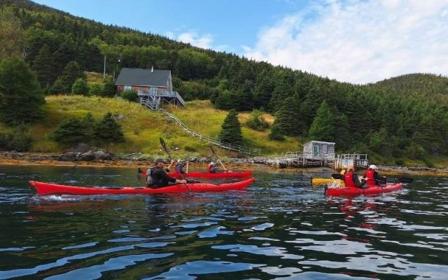 Wild Gros Morne Morning Kayak Tour