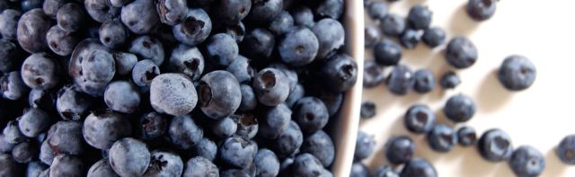 Forage & Beach Boil-Up