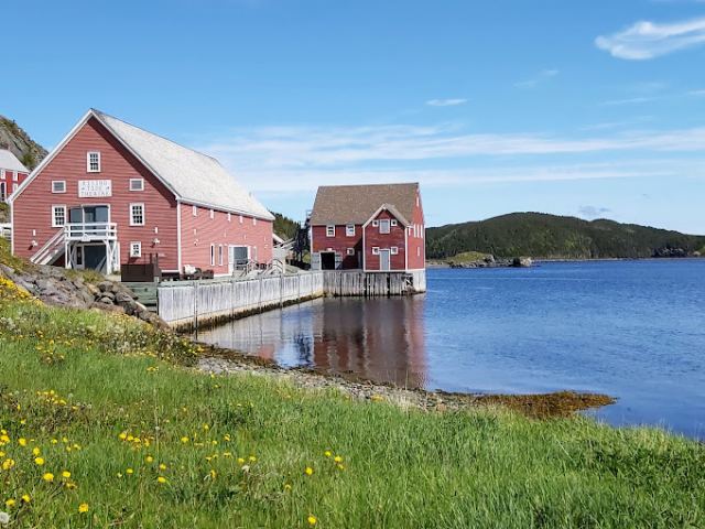 Photo of Rising Tide Theatre