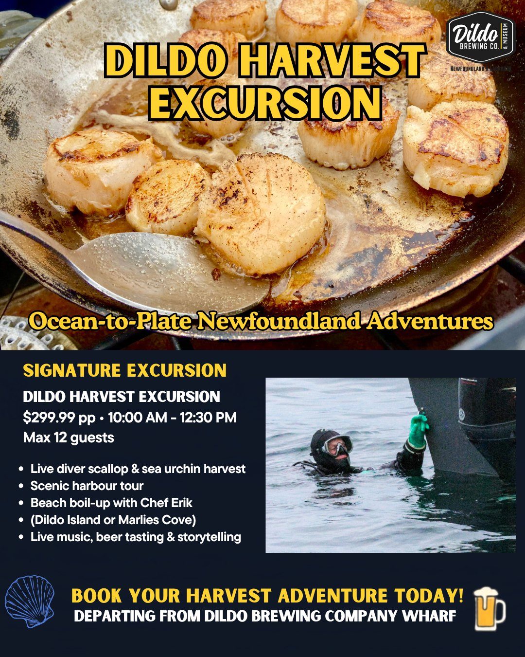 Dildo Harvest Excursion promotional image