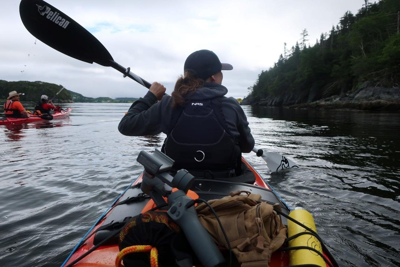 Half Day Sea Kayak Tour
