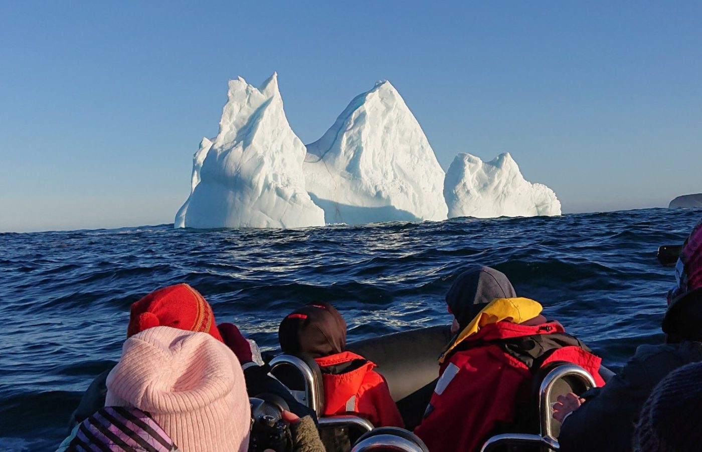 Whale and Iceberg boat tour ocean safari