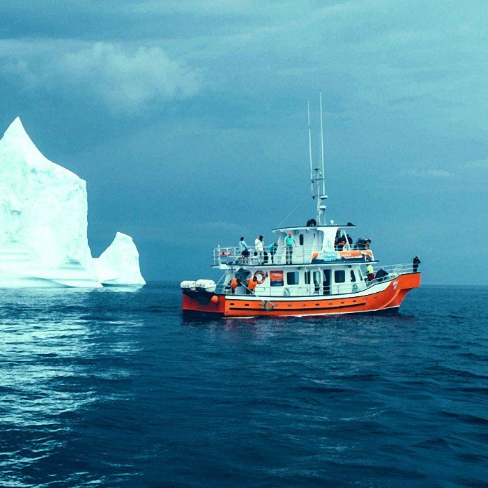 Twillingate Boat Tour
