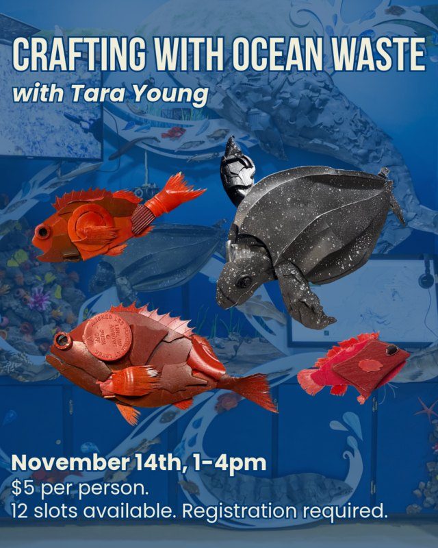 Crafting with Ocean Waste Workshop with Tara Young
