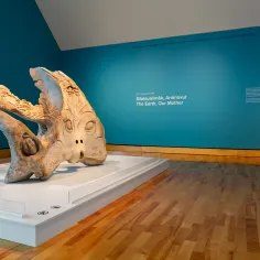 Auks, Wolves and Whales event image
