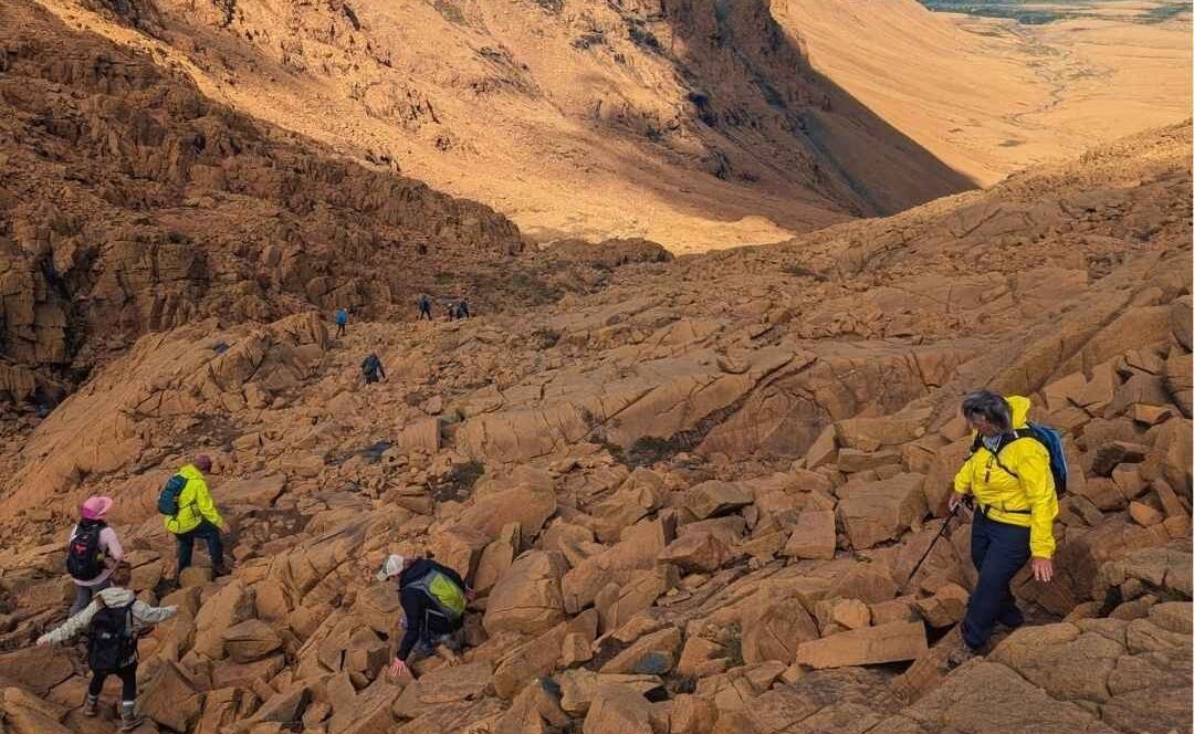 Wild Gros Morne Tablelands Full Loop